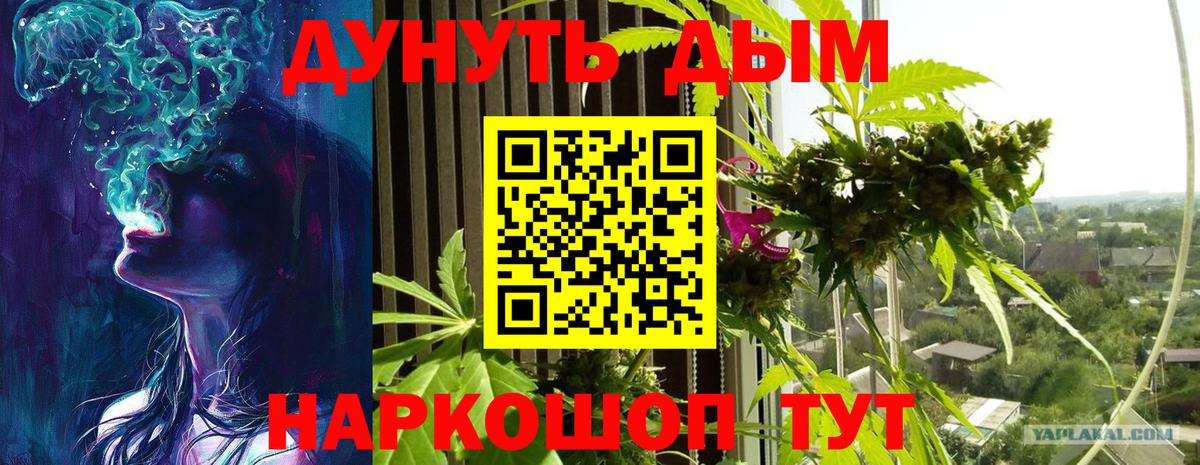 Шишки марихуана VHQ  Вход с VPN  Конопля THC 21%  Мурино  Каннабис сатива  Шишки марихуана семена 